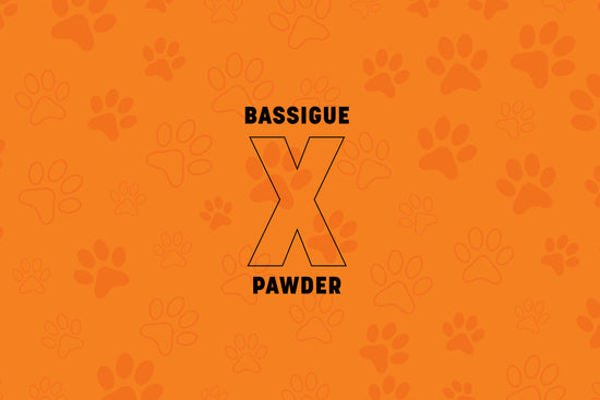 BASSIGUE X PAWDER