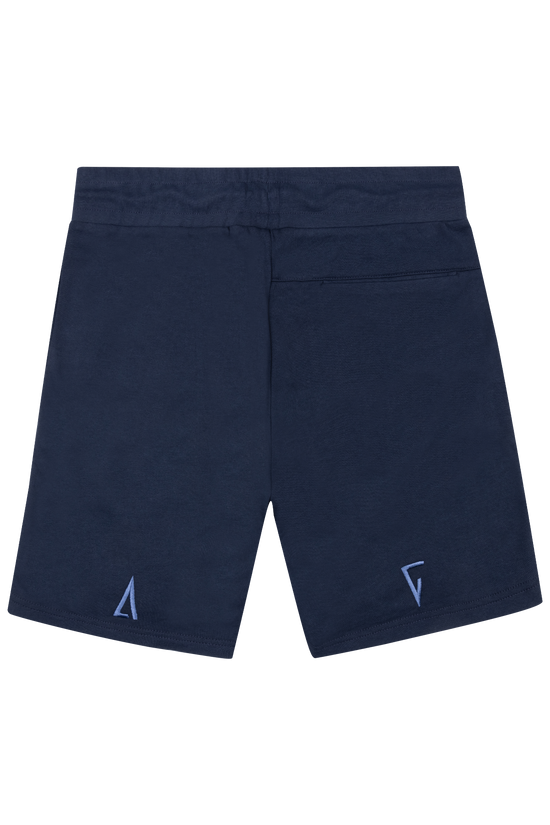 Navy Blue Shorts