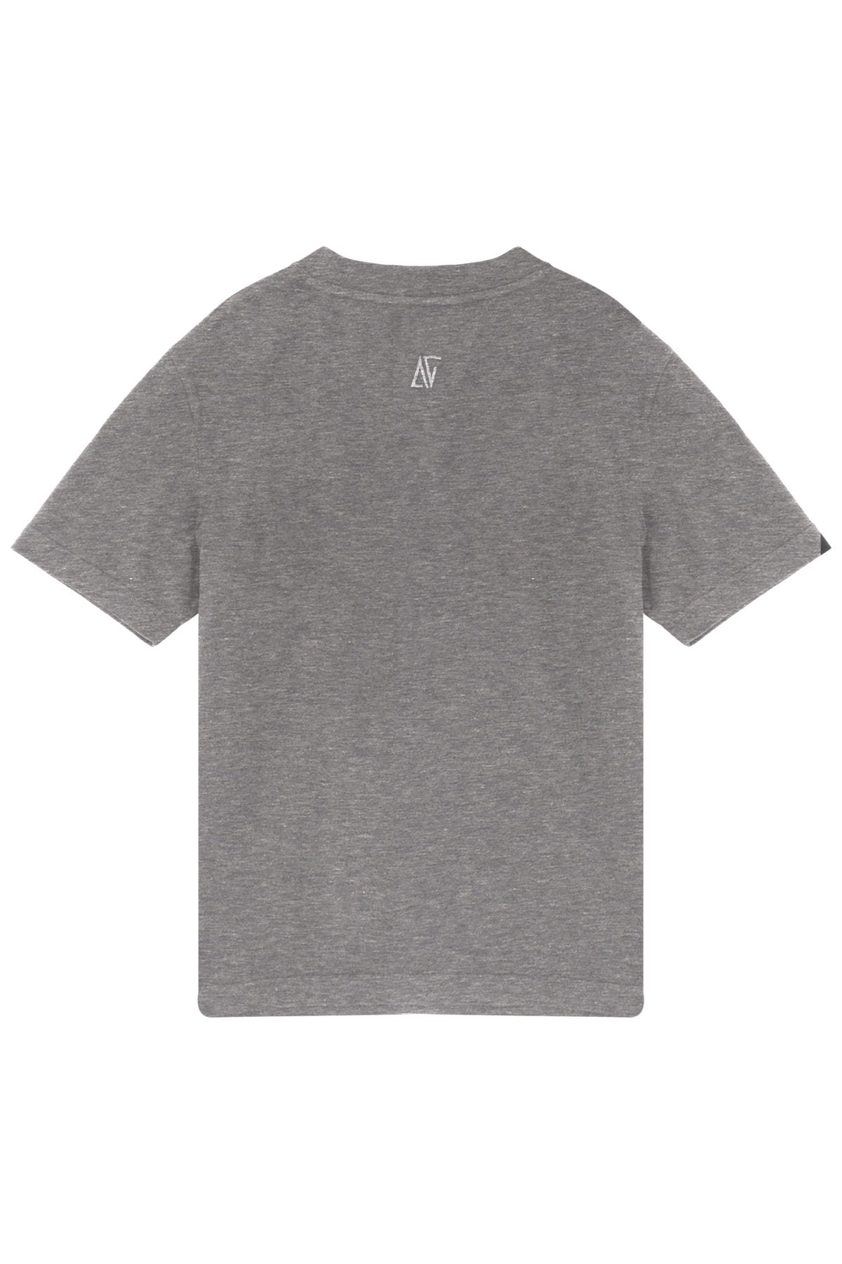 Basic T-Shirt  - Gri
