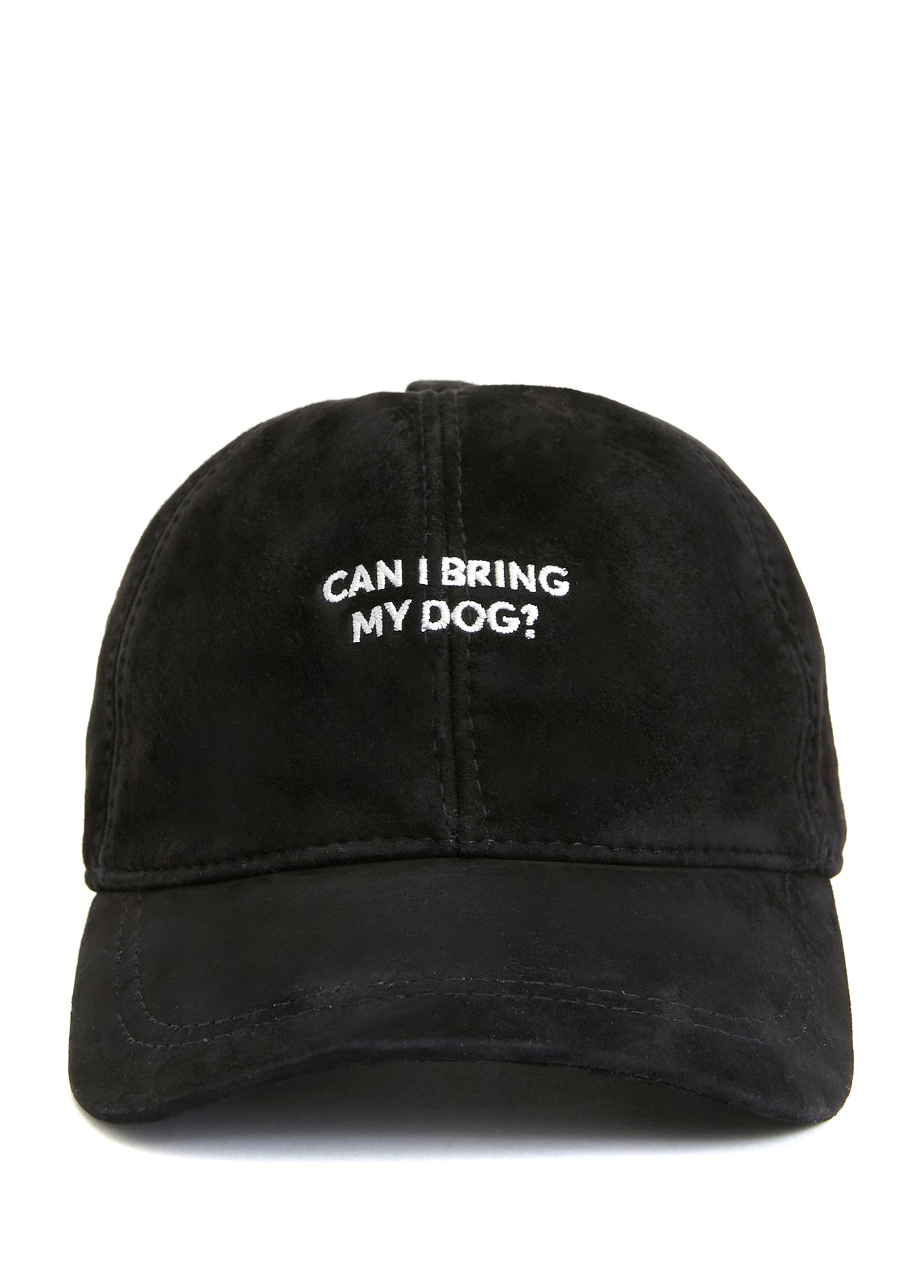 Can I Bring My Dog Şapka