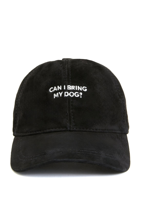 Can I Bring My Dog Şapka