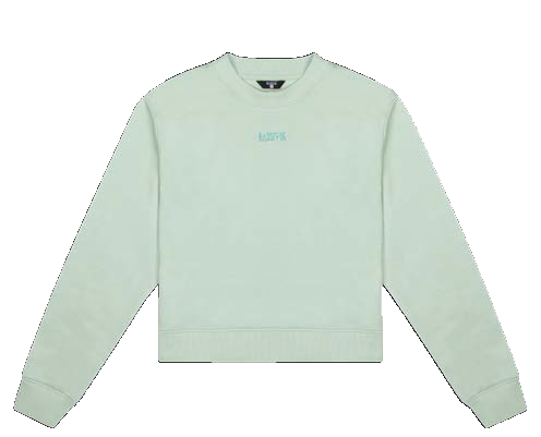 Cotton Sweatshirt - Cameo Green