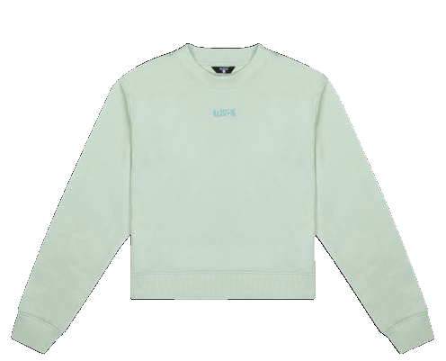 Load image into Gallery viewer, Cotton Sweatshirt - Cameo Green

