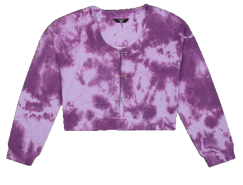 Load image into Gallery viewer, Pin Sweatshirt -Digital Lavender/Sparkling Grape
