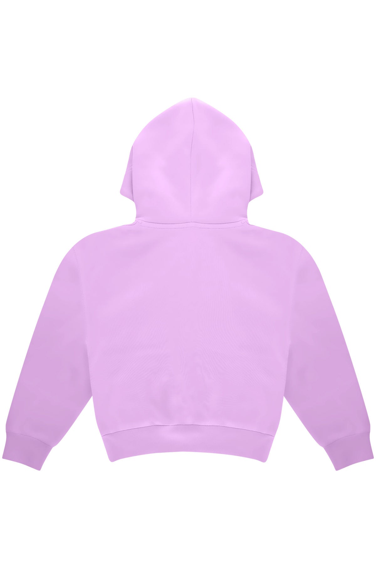Crop Hoodie - Purple Chives